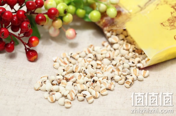 薏米仁