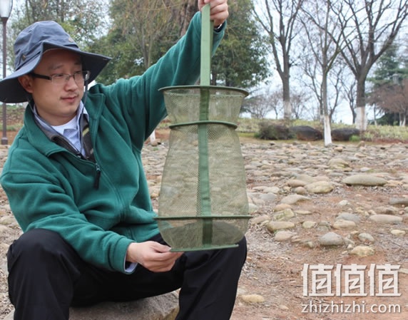 鱼网