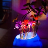 创意盆景LED小夜灯