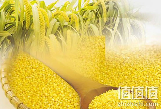 农家小米
