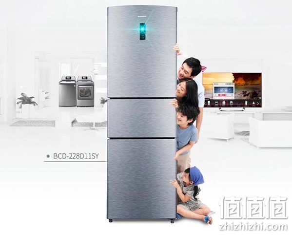 容声BCD-228D11SY冰箱