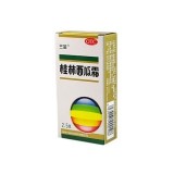 桂林西瓜霜 2.5g 健一网价格