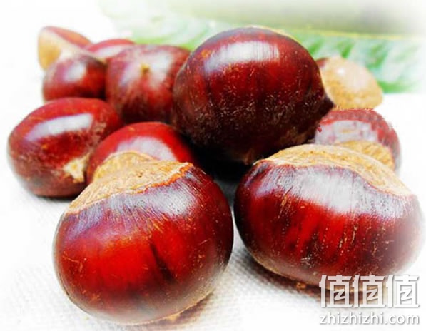 板栗