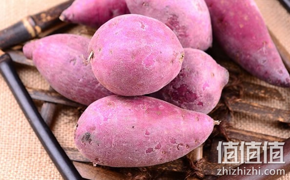紫薯