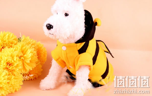 狗狗衣服