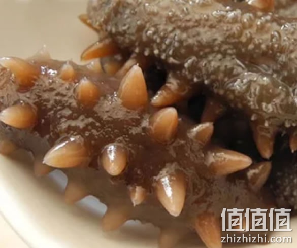 干海参