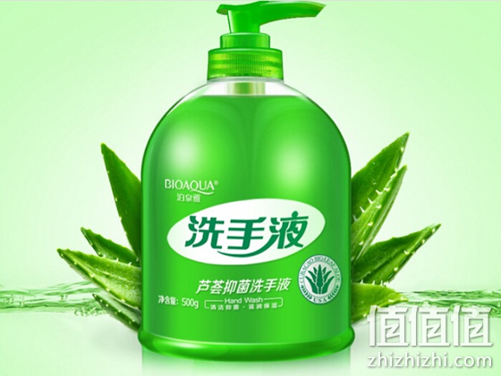 泊泉雅芦荟消毒护理洗手液