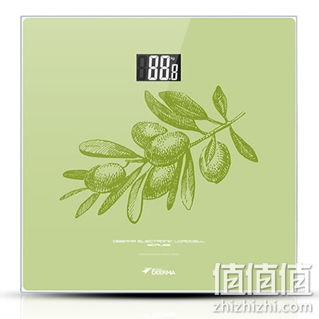 德尔玛EV02精准电子秤体重秤