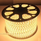 LED灯带 220V