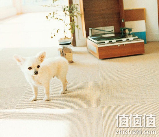 鲜御幼犬专业天然狗粮