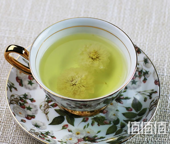 贡菊花茶