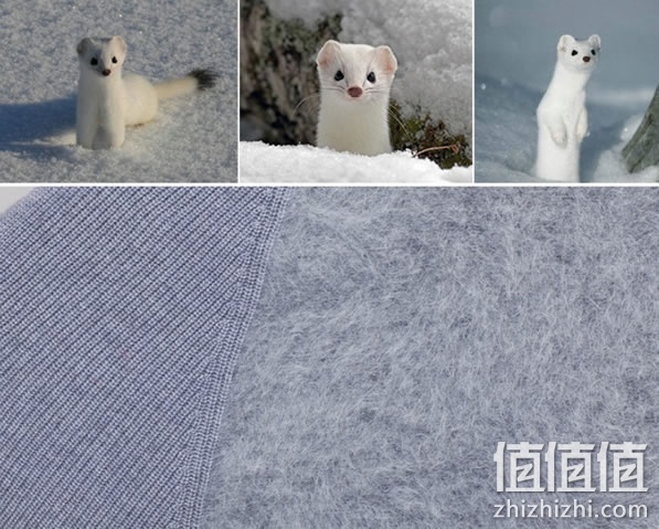 针织衫