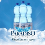 帕拉迪索 饮用天然矿泉水（充气型） 1.5L*6瓶*2 1号店价格