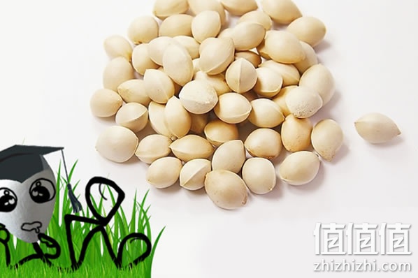 开心果