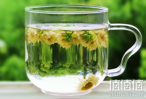 胎菊王