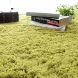 丝毛加厚地毯 0.4*0.6m