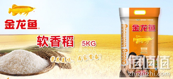 金龙鱼软香稻射阳大米