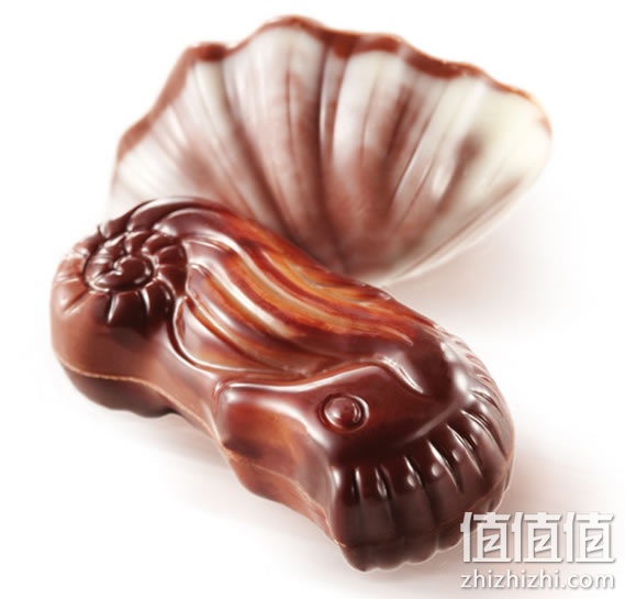 白丽人贝壳巧克力