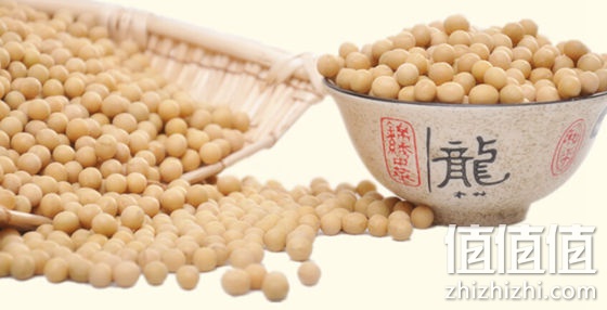 未尝不可高蛋白新黄豆