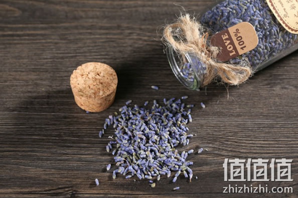 薰衣草花茶 