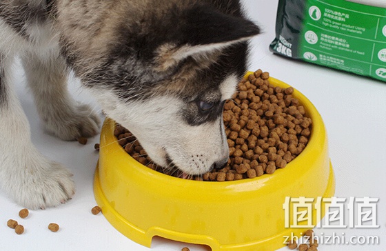 泰迪金毛贵宾中小型成犬主粮