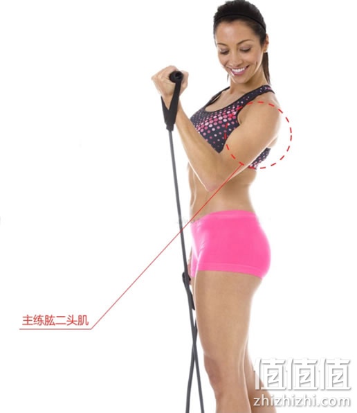 拉力器