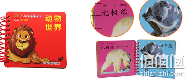 卡片