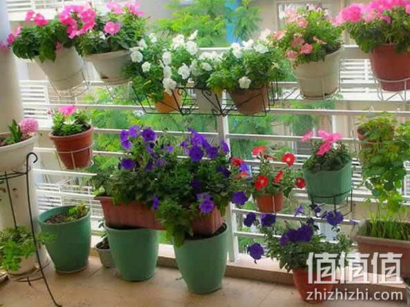 小花架