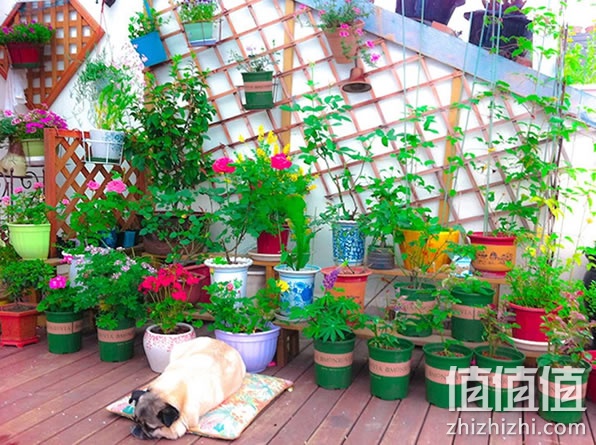 小花架
