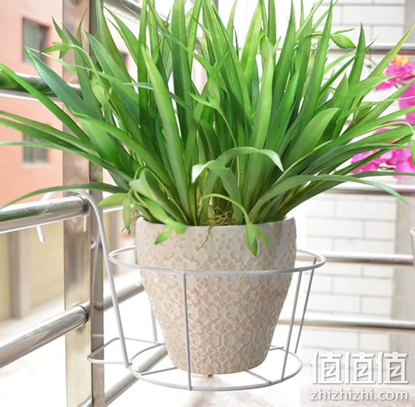 小花架