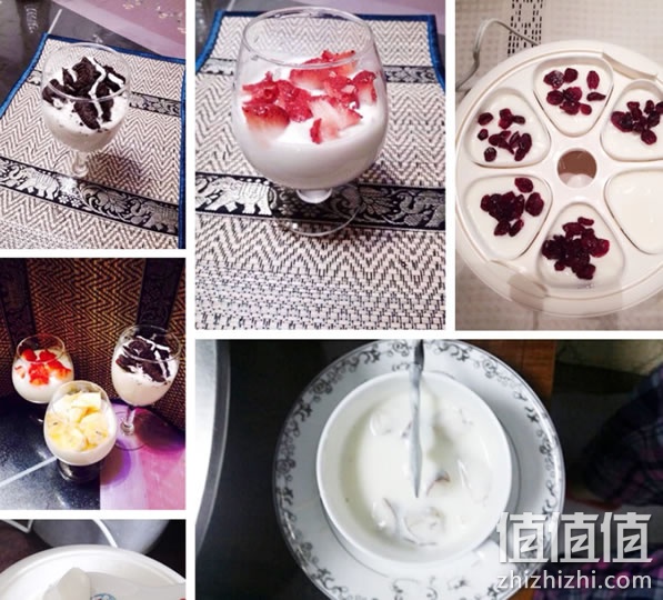发酵菌粉