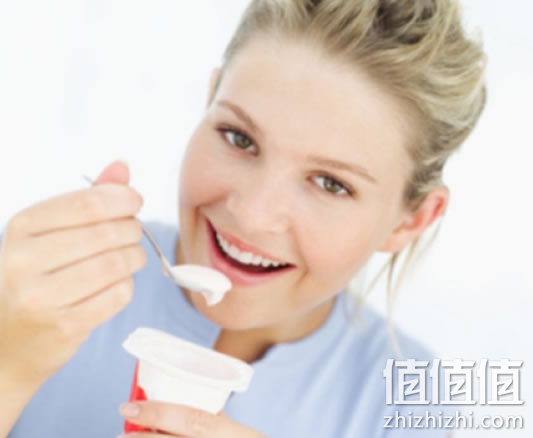 酸奶发酵菌