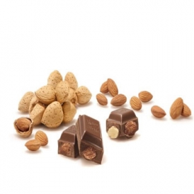 瑞特斯波德 扁桃仁牛奶巧克力100g 京东商城价格