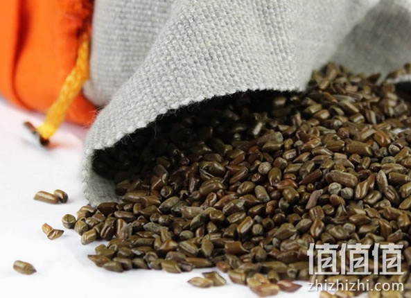 保健枕芯