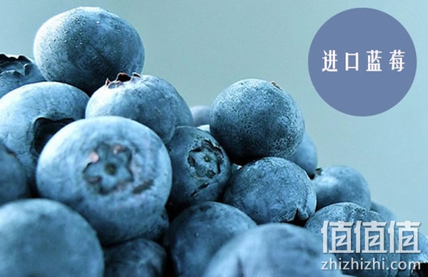 智利蓝莓
