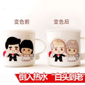 创意陪你到老变色杯