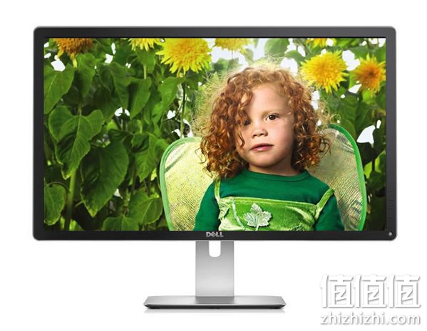 戴尔专业P2415Q显示器