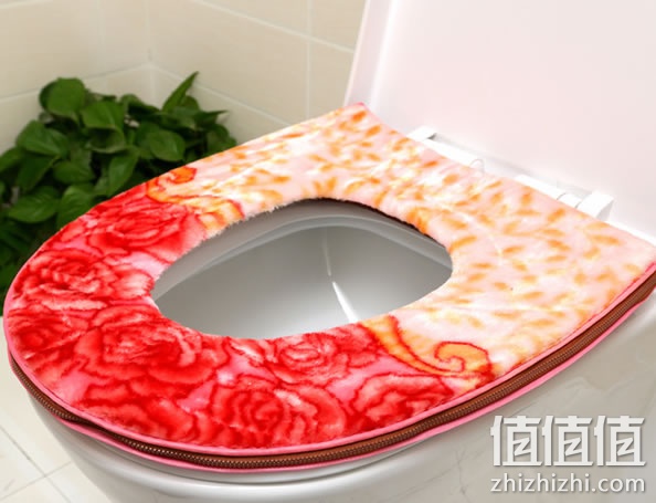 坐便套