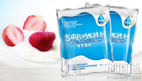 酸奶发酵菌