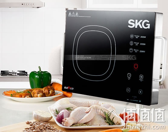 SKG SKG1601电陶炉