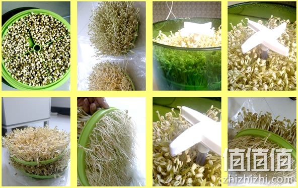 豆芽机