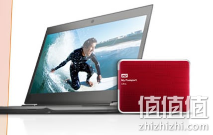西部数据WDBZFP0010BRD移动硬盘