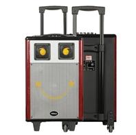 新科 T501 广场舞移动拉杆音响 388元 包邮  原价499 元