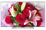 夏普 LCD-46LX560A 智能液晶电视 46寸 苏宁易购价格