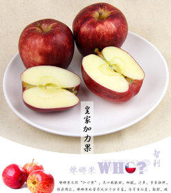 29.9元  沱沱惠-沱沱工社-全方位的健康水果口感清脆爽甜