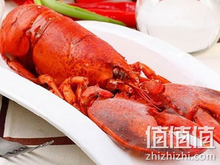纽纳优选加拿大龙虾