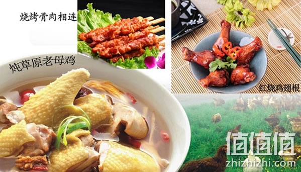 天玛生态沙漠土鸡翅根