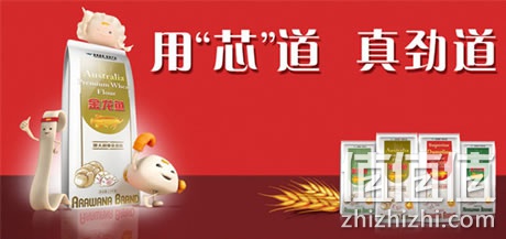 金龙鱼多用途麦芯粉