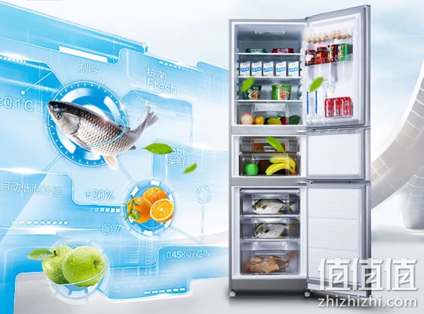 格兰仕BCD-220TS冰箱