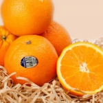 美国新奇士夏橙10个/约1.9kg